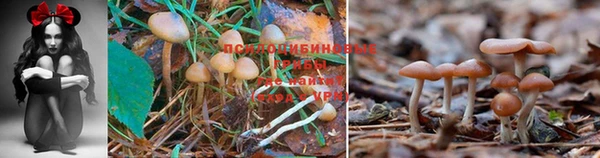 амфетамин Арсеньев