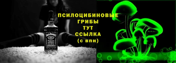 МДПВ Армянск