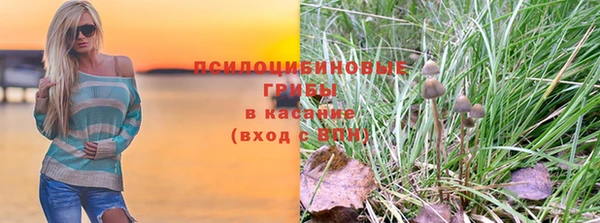 МДПВ Армянск