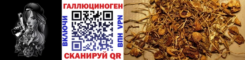 что такое наркотик Томмот Псилоцибиновые грибы мицелий